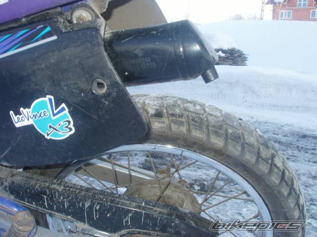 Photo 303150