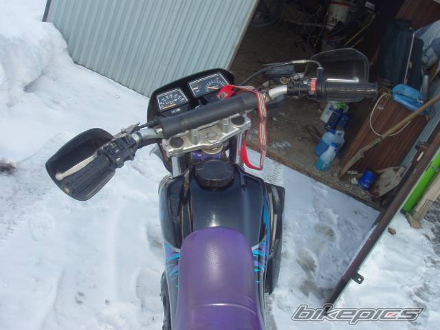 Photo 303152