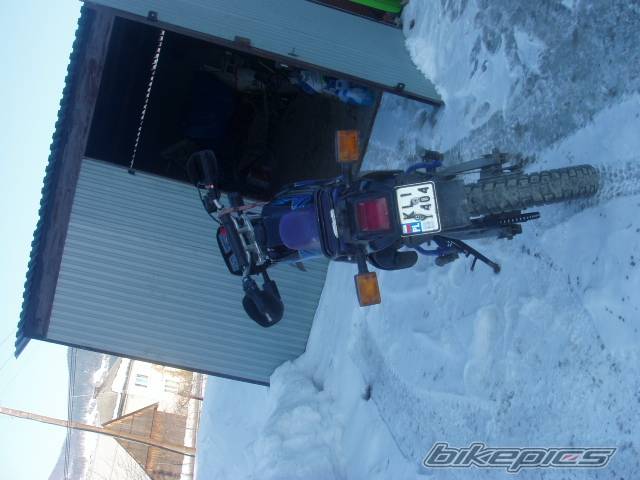Photo 303153