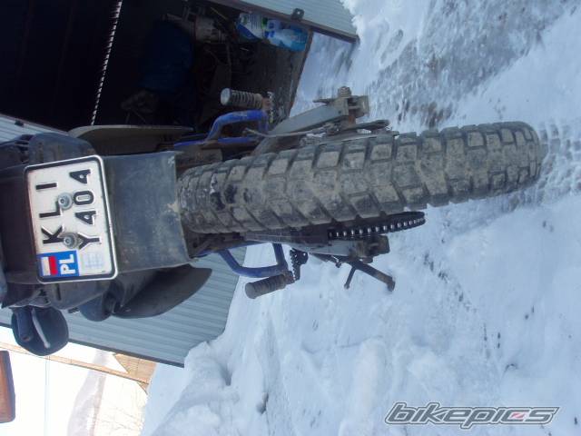 Photo 303154