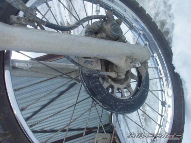 Photo 303156