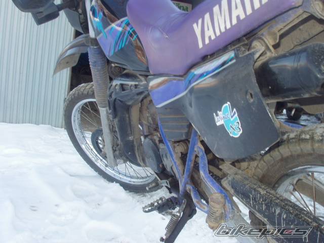 Photo 303157