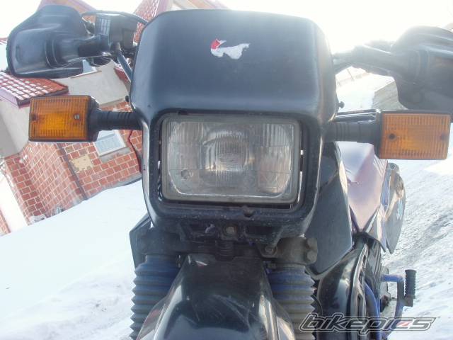 Photo 303159