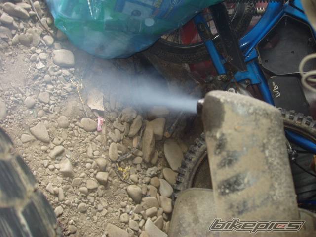 Photo 303162