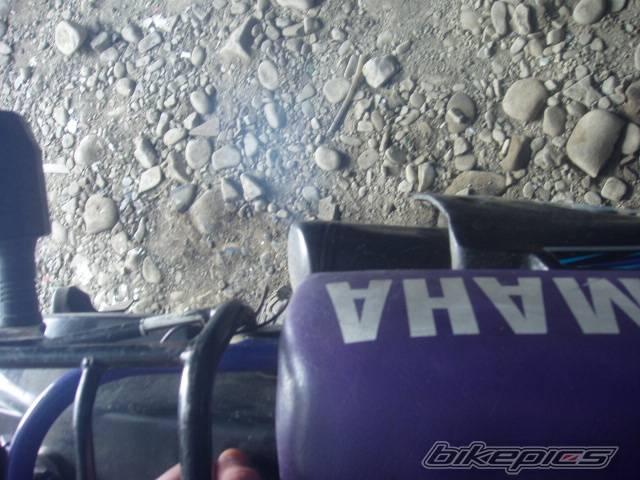 Photo 303164