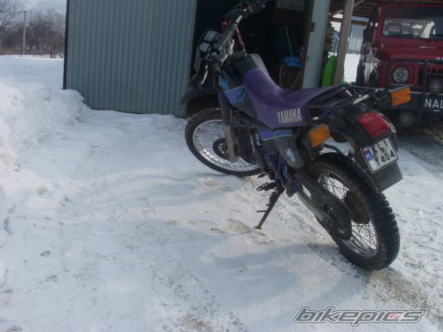 Bike Photo 303167