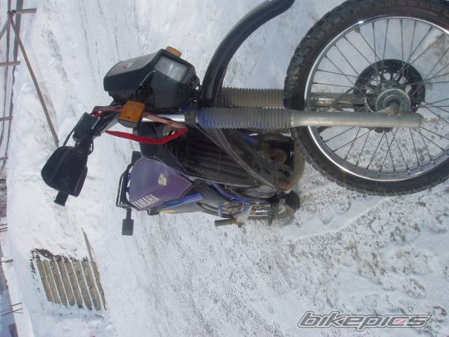 Photo 303169