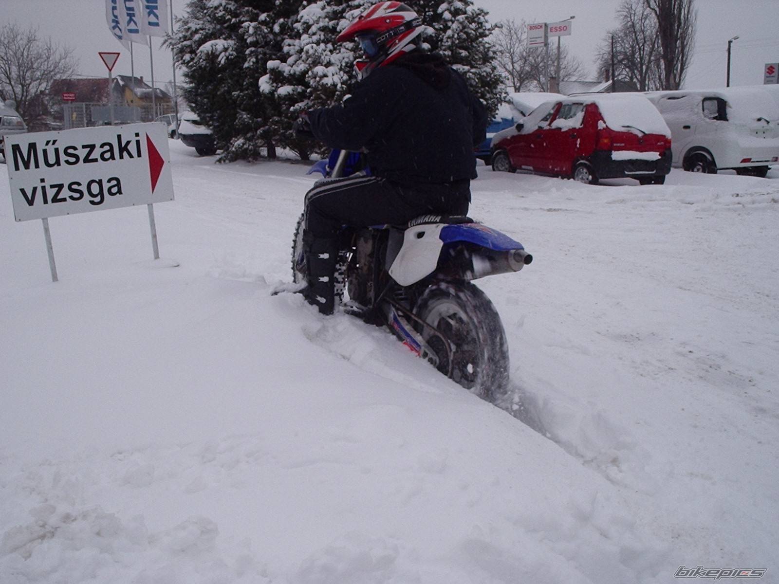 Photo 303172