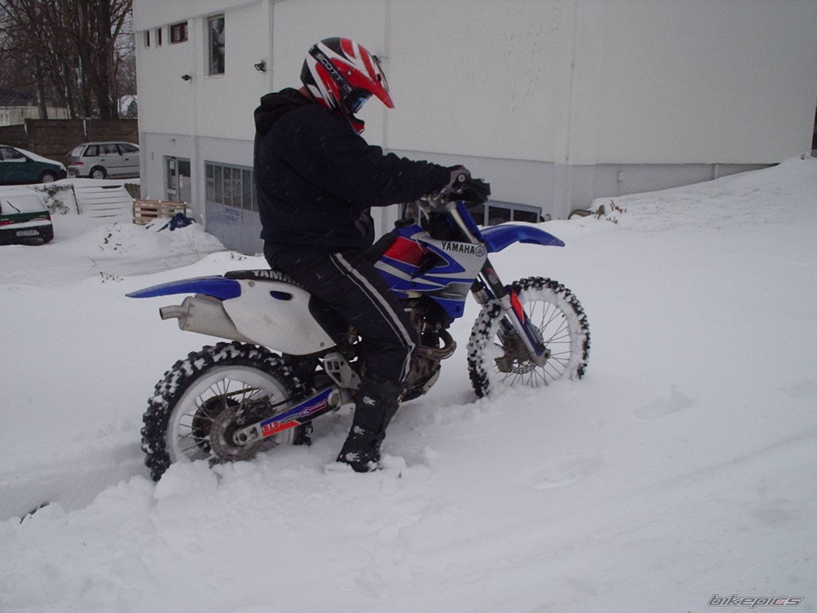 Photo 303173