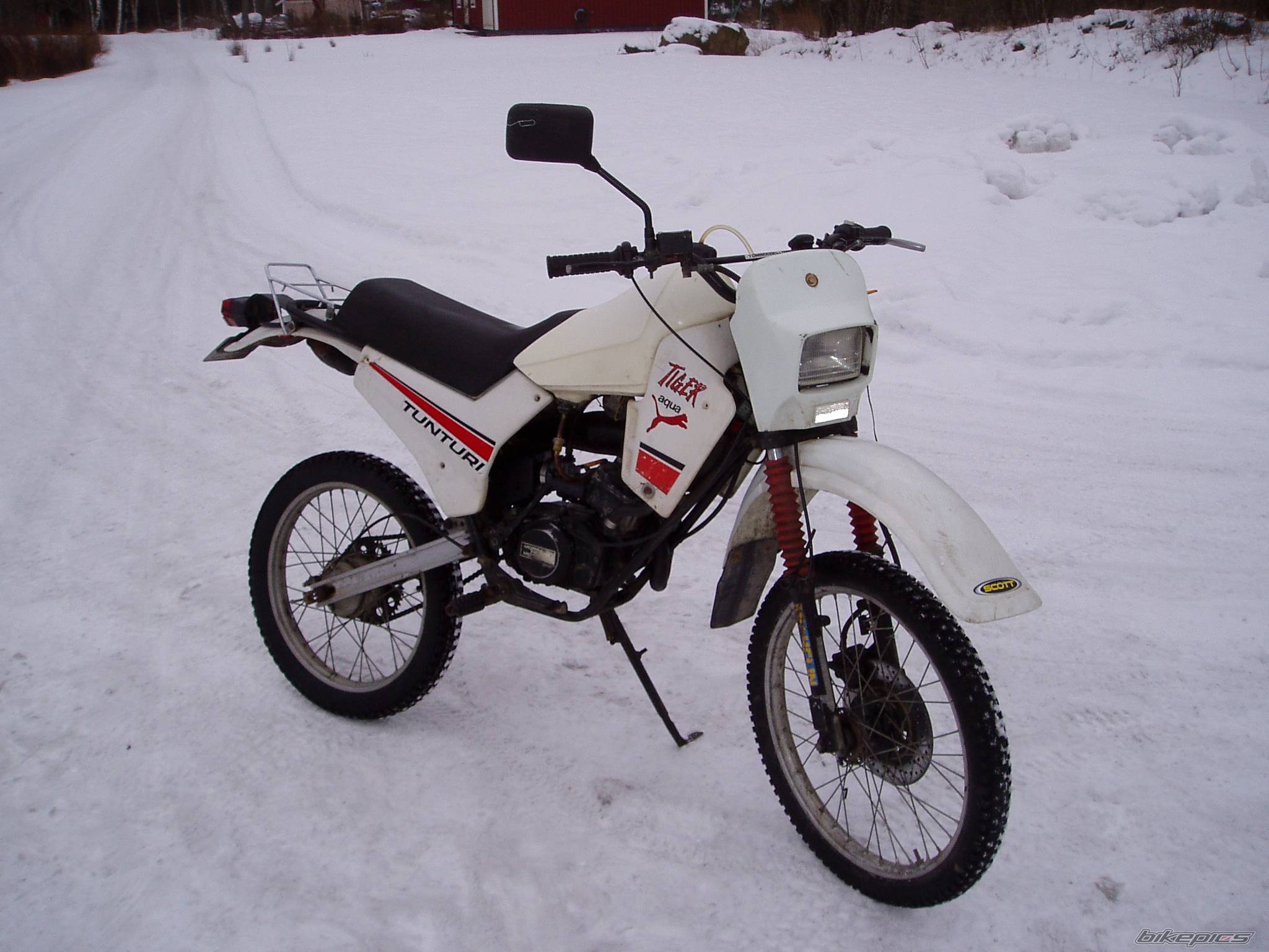 Photo 303234