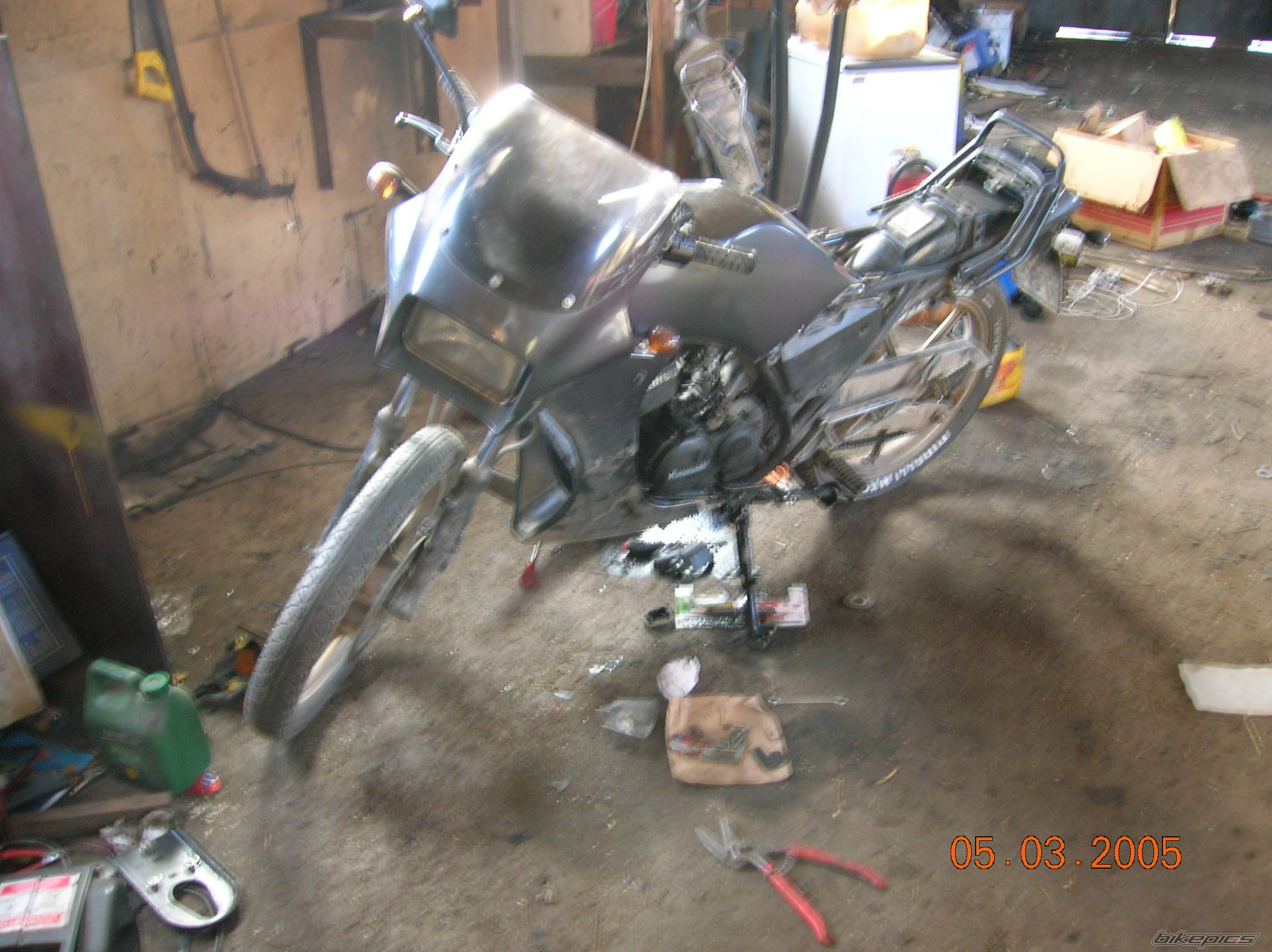 Photo 303242