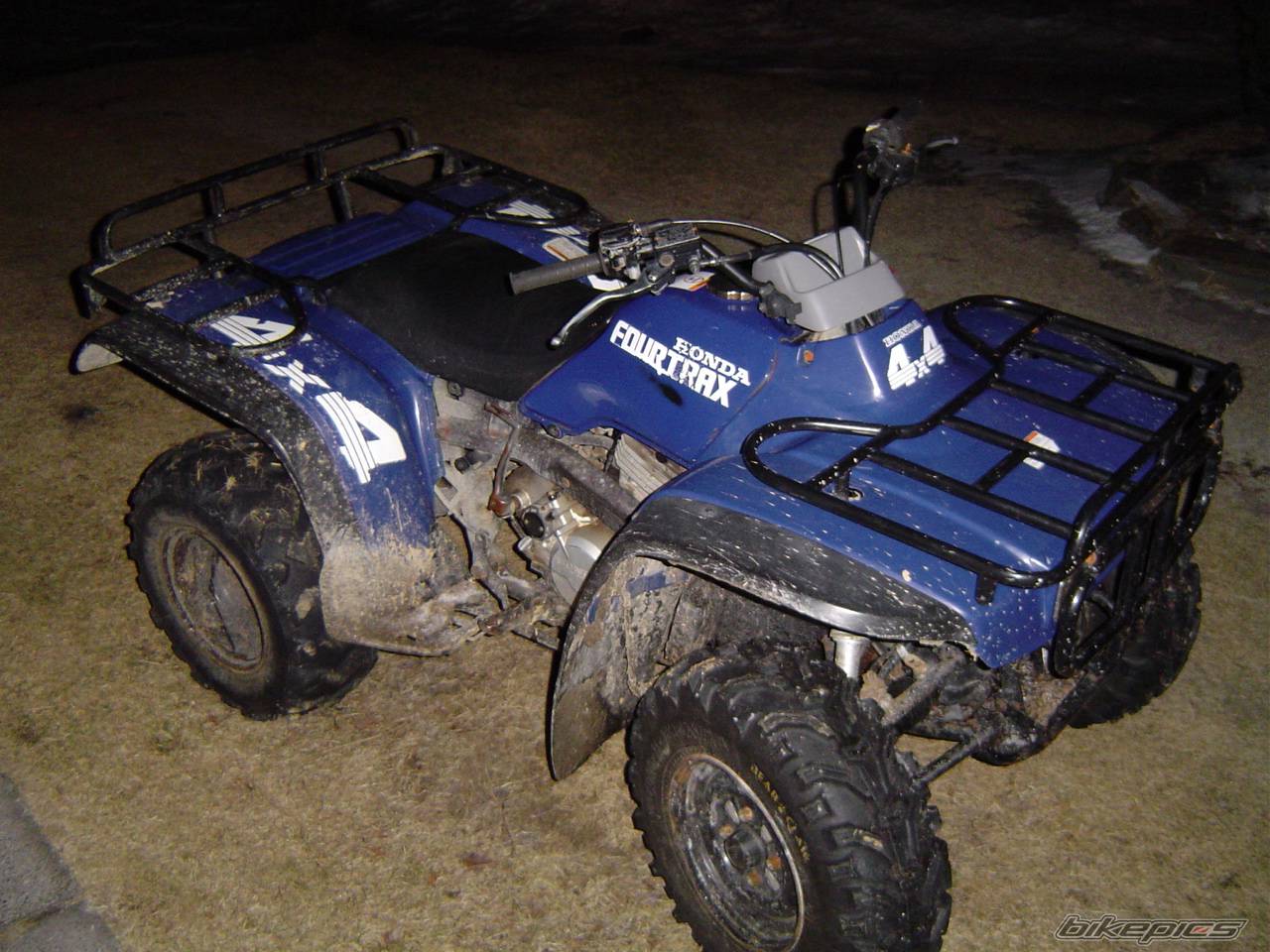 Photo 303280