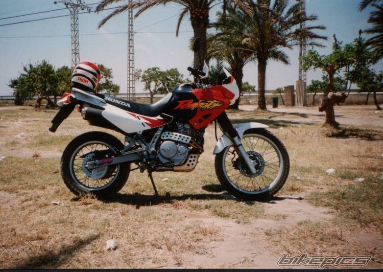 Bike Photo 30329