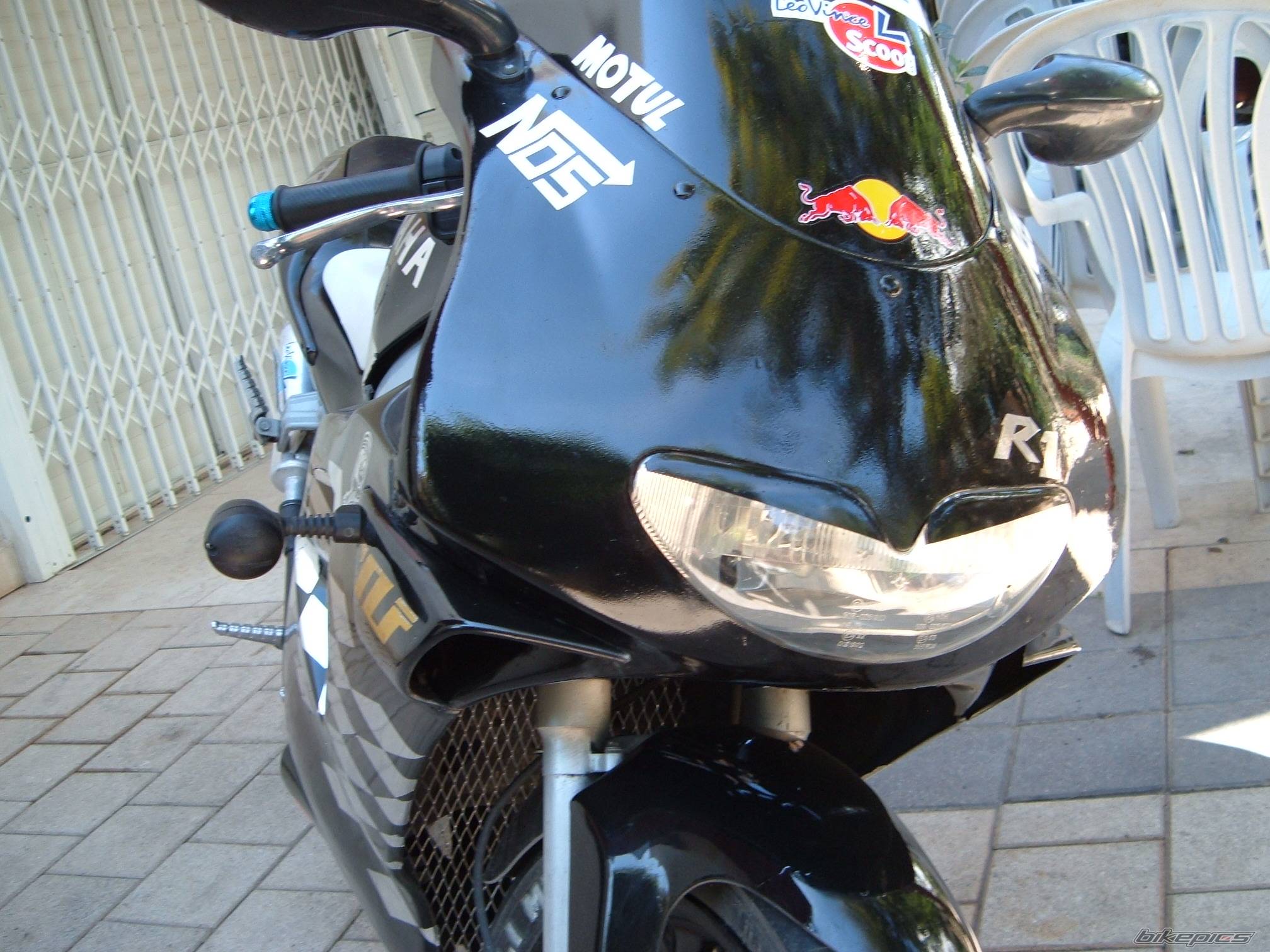 Photo 303322