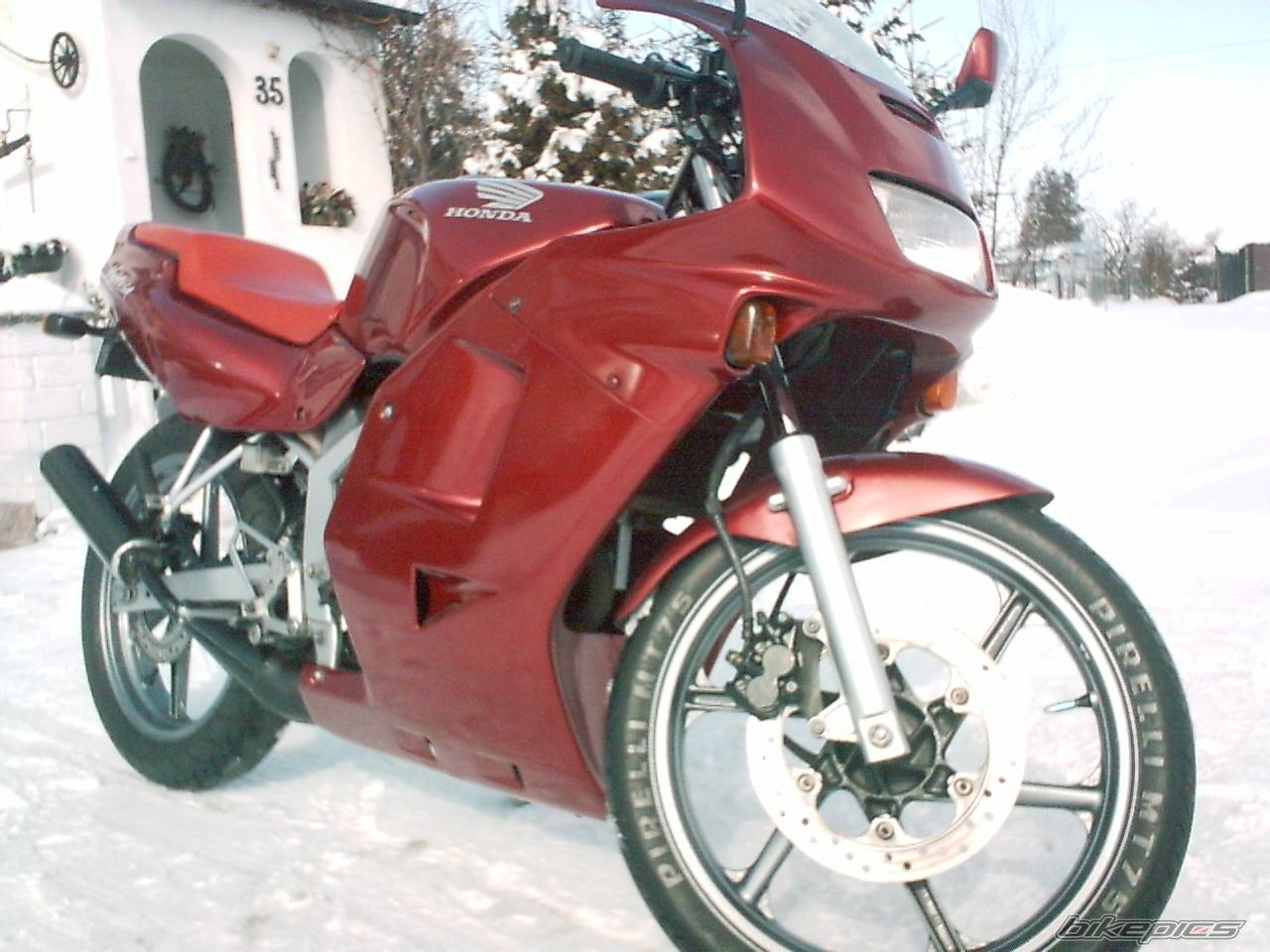 Photo 303342