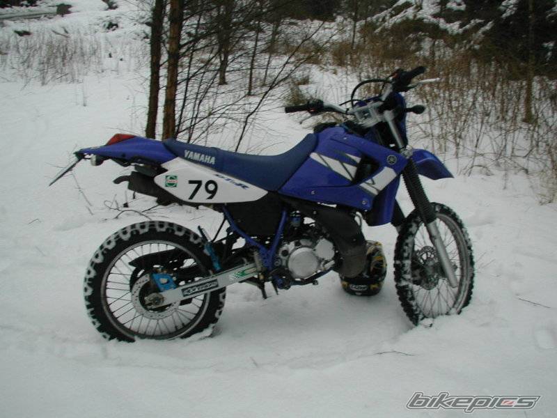 Bike Photo 303353