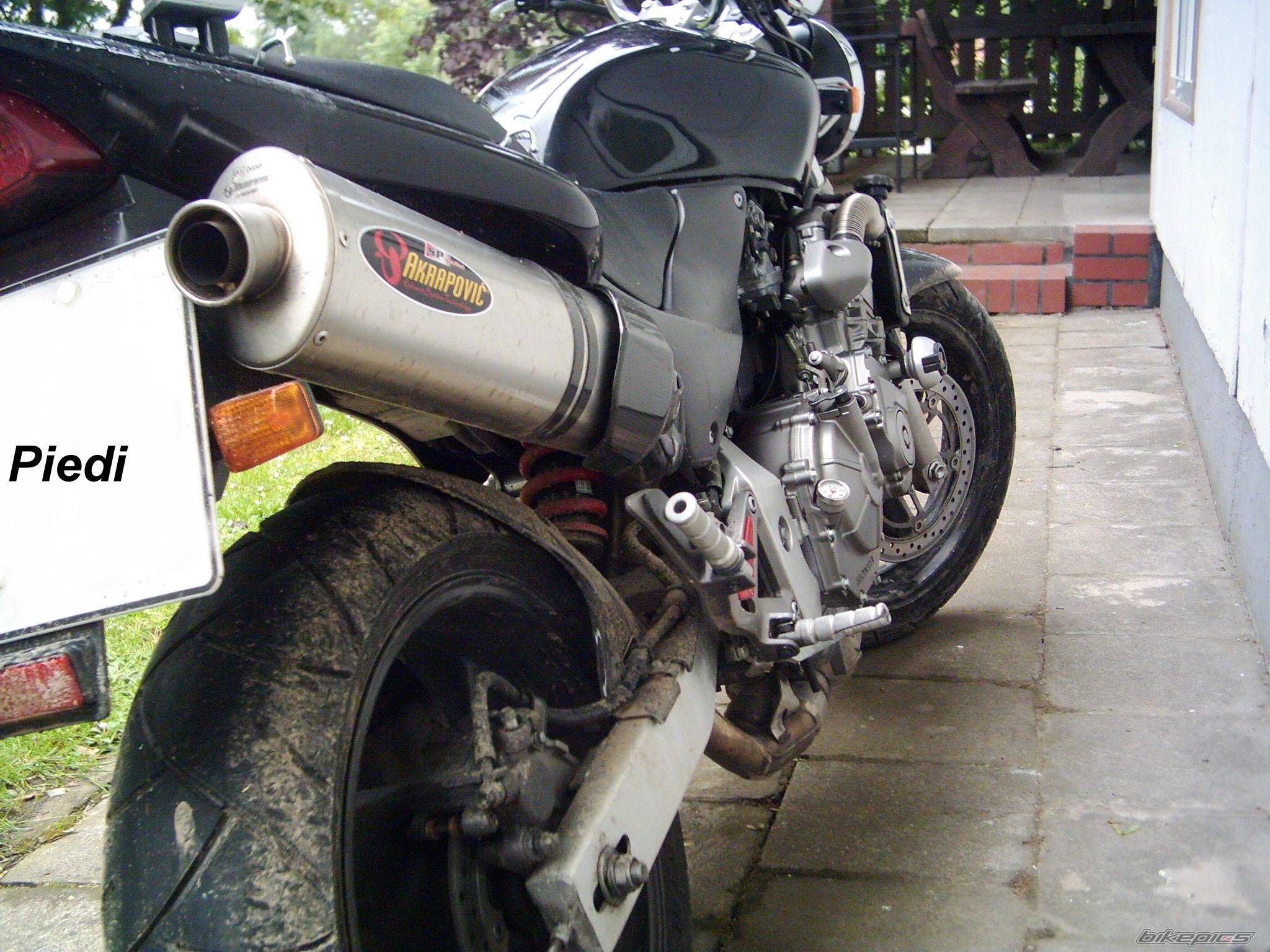 Photo 303462