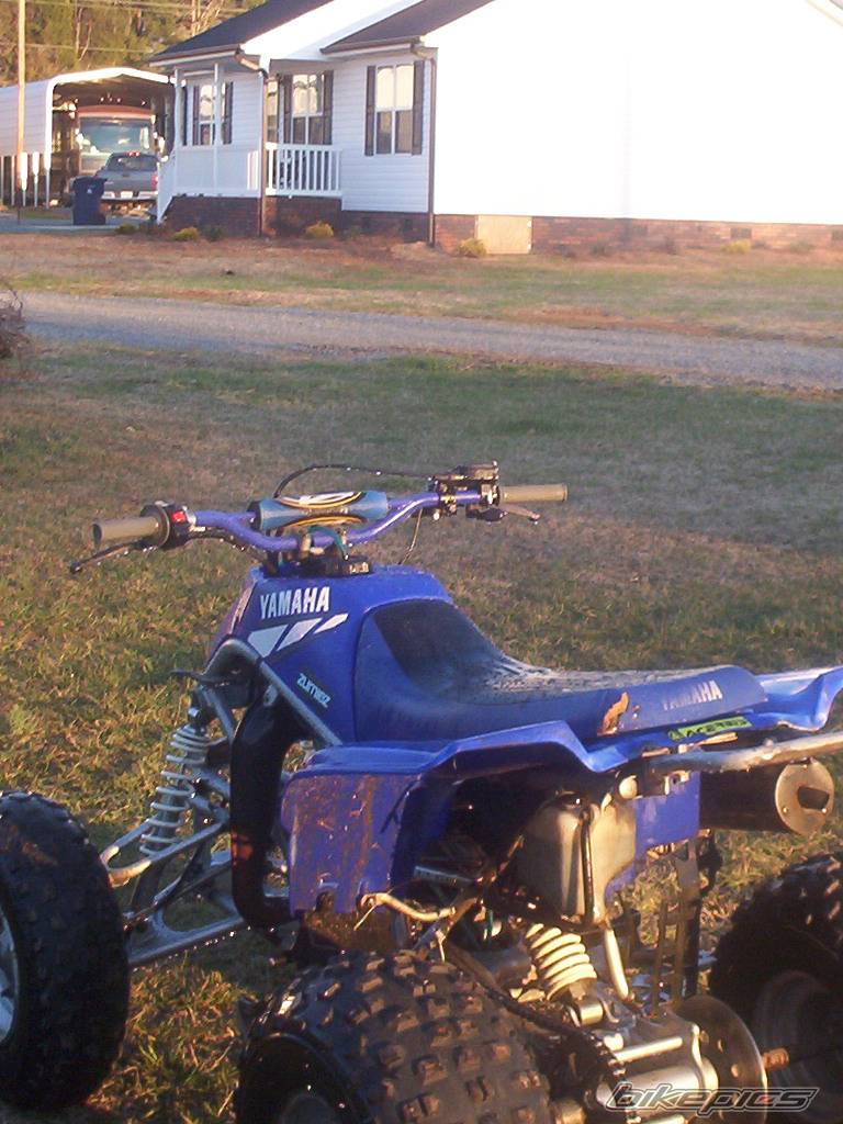 Photo 303638