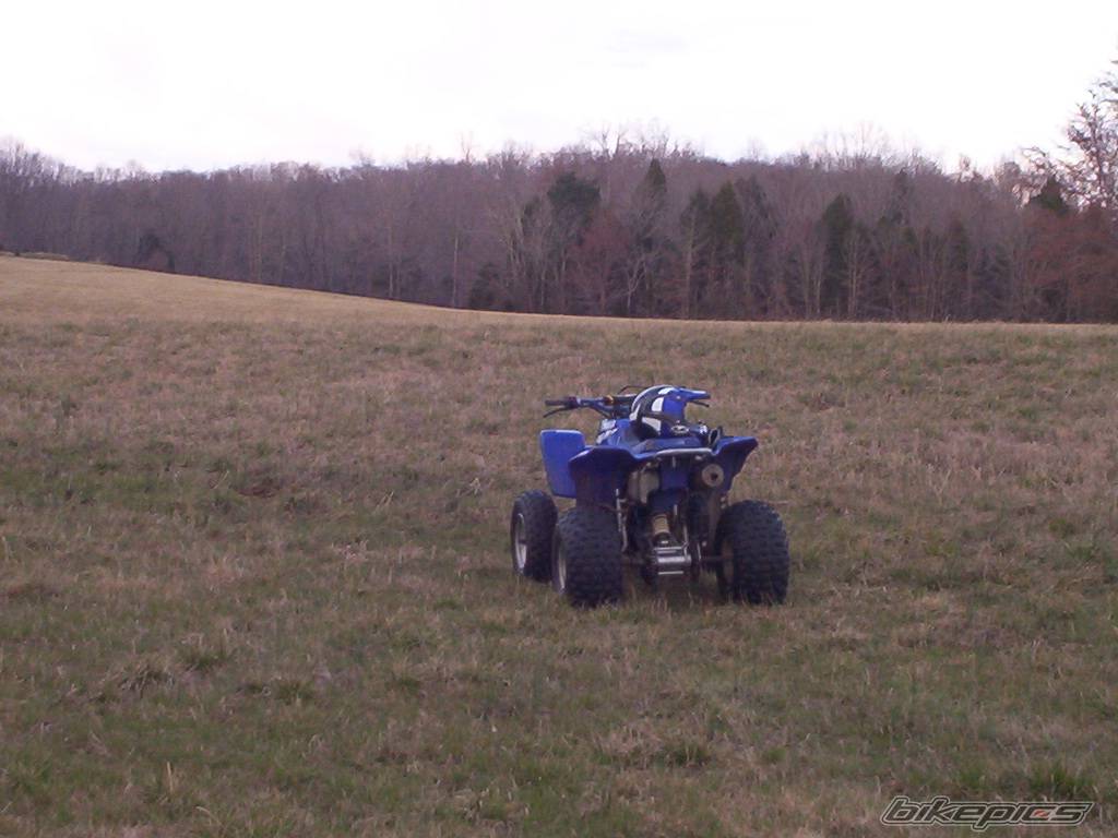 Photo 303640