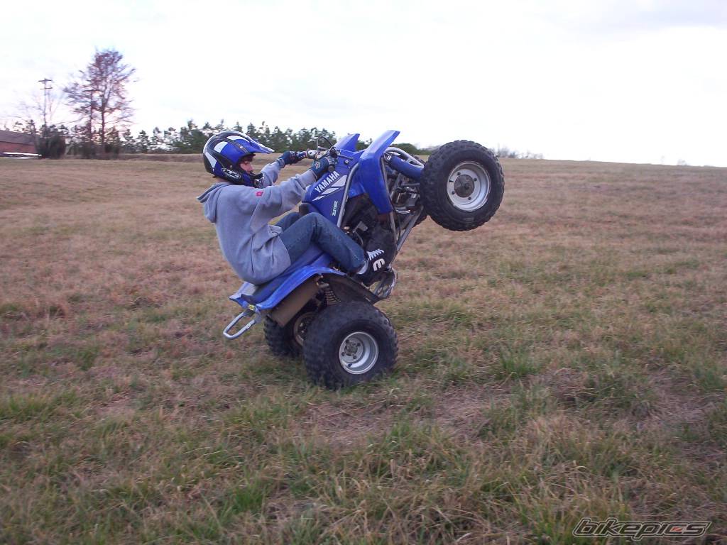 Photo 303644