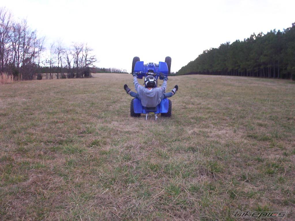 Photo 303654