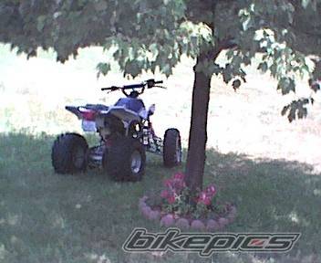 Photo 30366