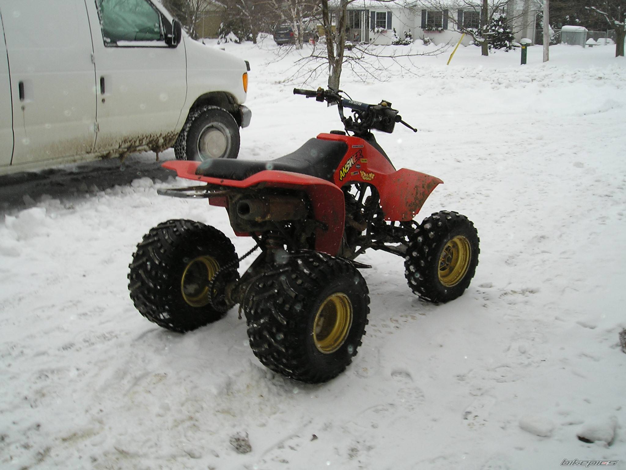 Photo 303709