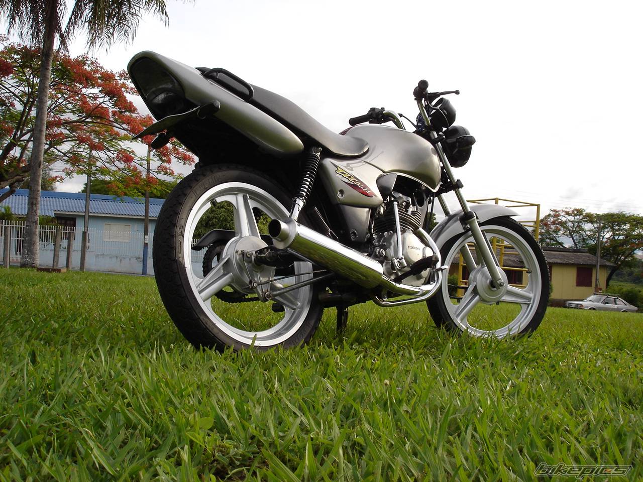Photo 303722