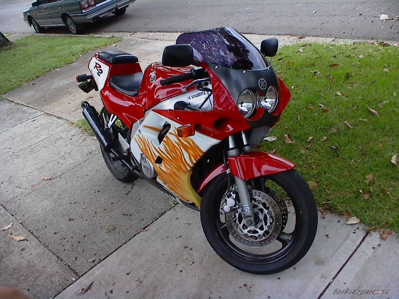 Photo 303763