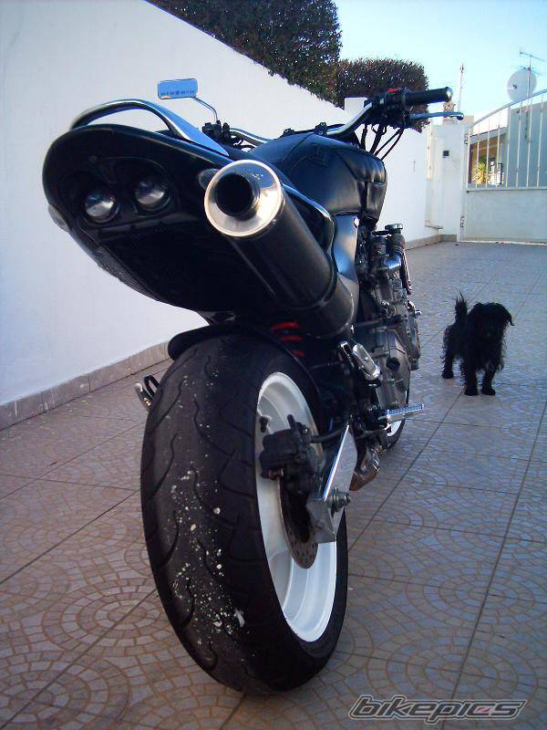 Photo 303769
