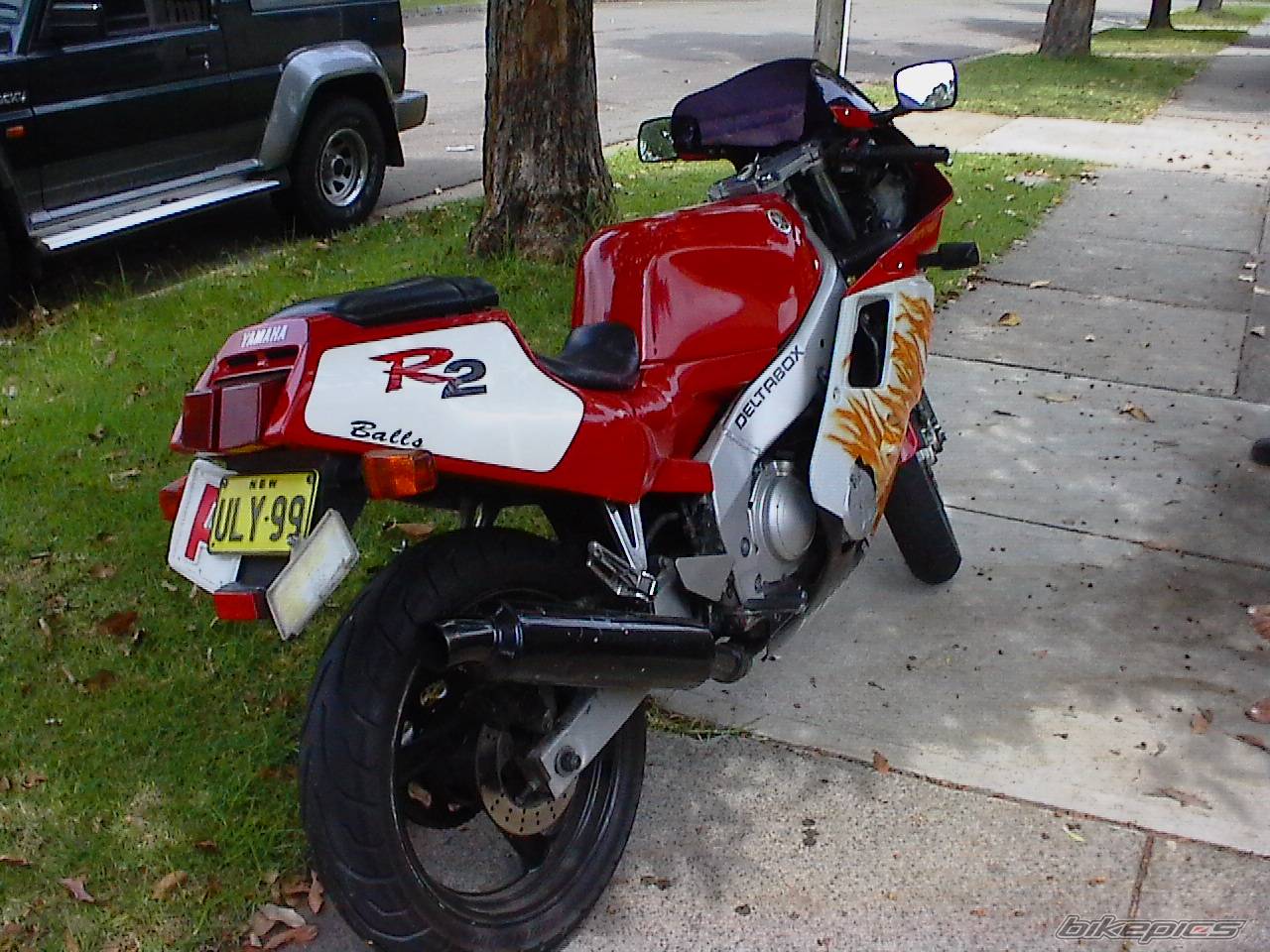 Photo 303774