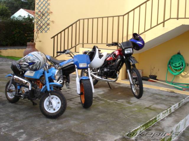 Photo 303775
