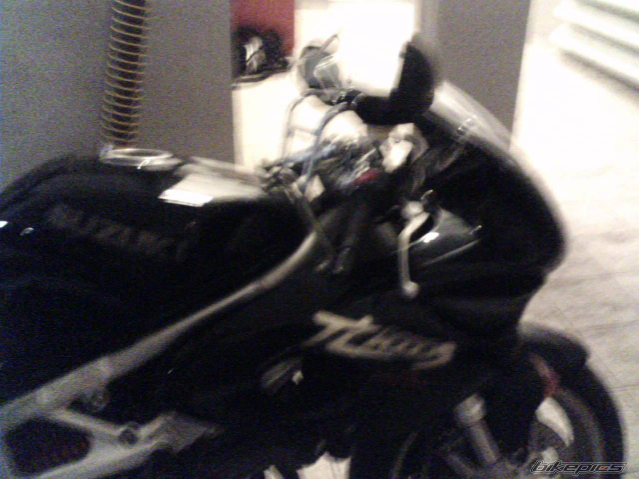 Photo 303810