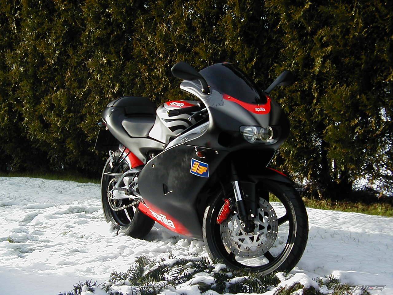 Bike Photo 303879