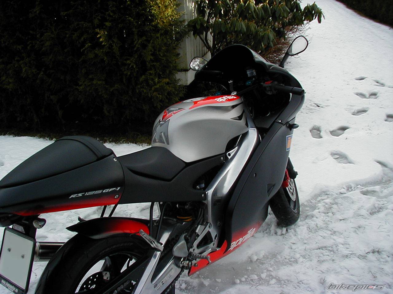 Bike Photo 303885