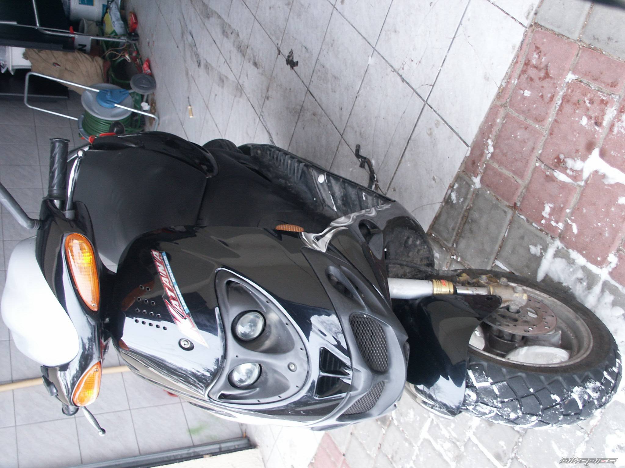Photo 303927