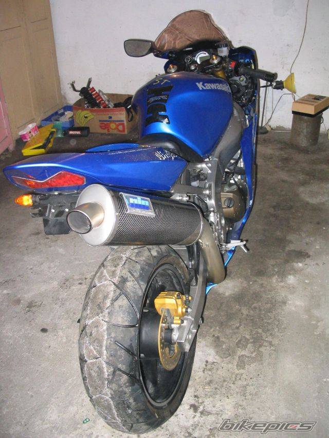 Photo 303933