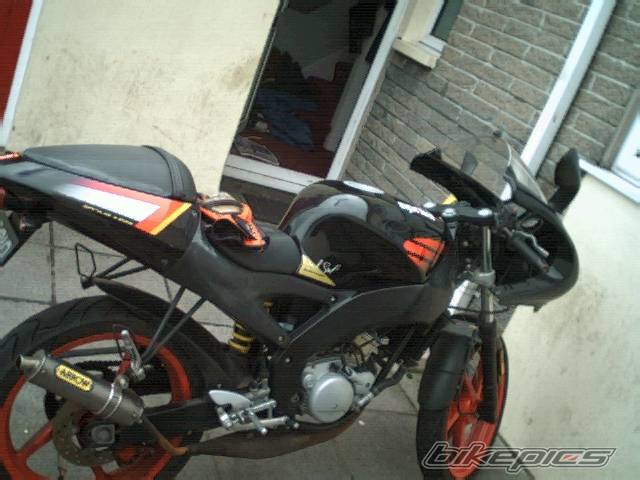 Photo 303985