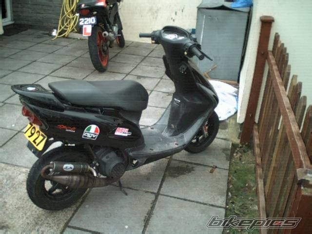 Photo 303988