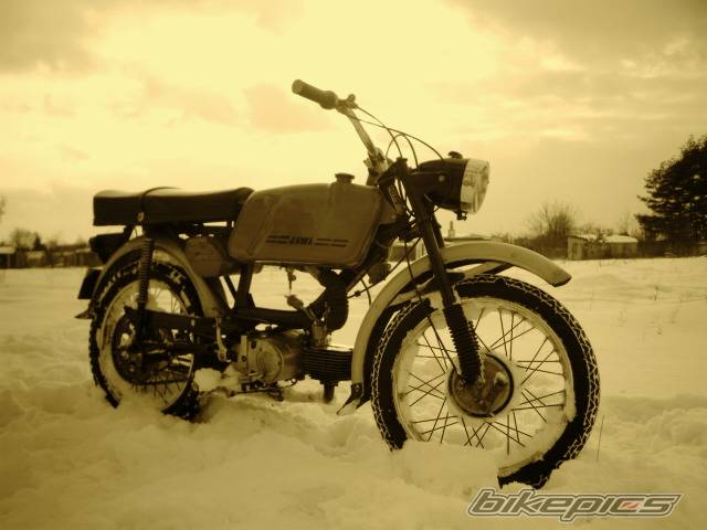 Photo 303996
