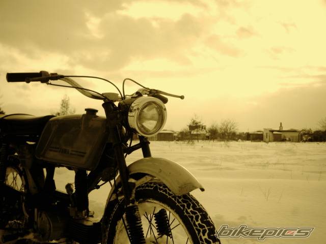 Photo 303997