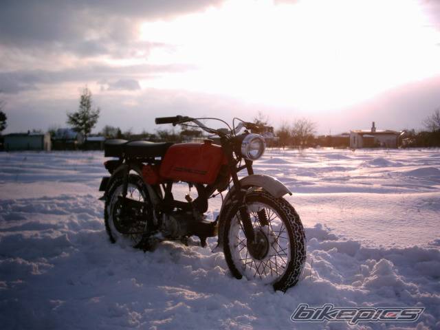 Photo 304001