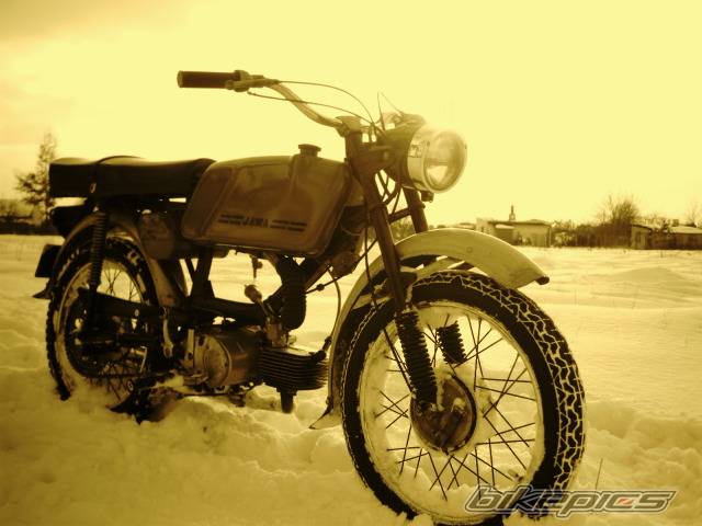 Photo 304002
