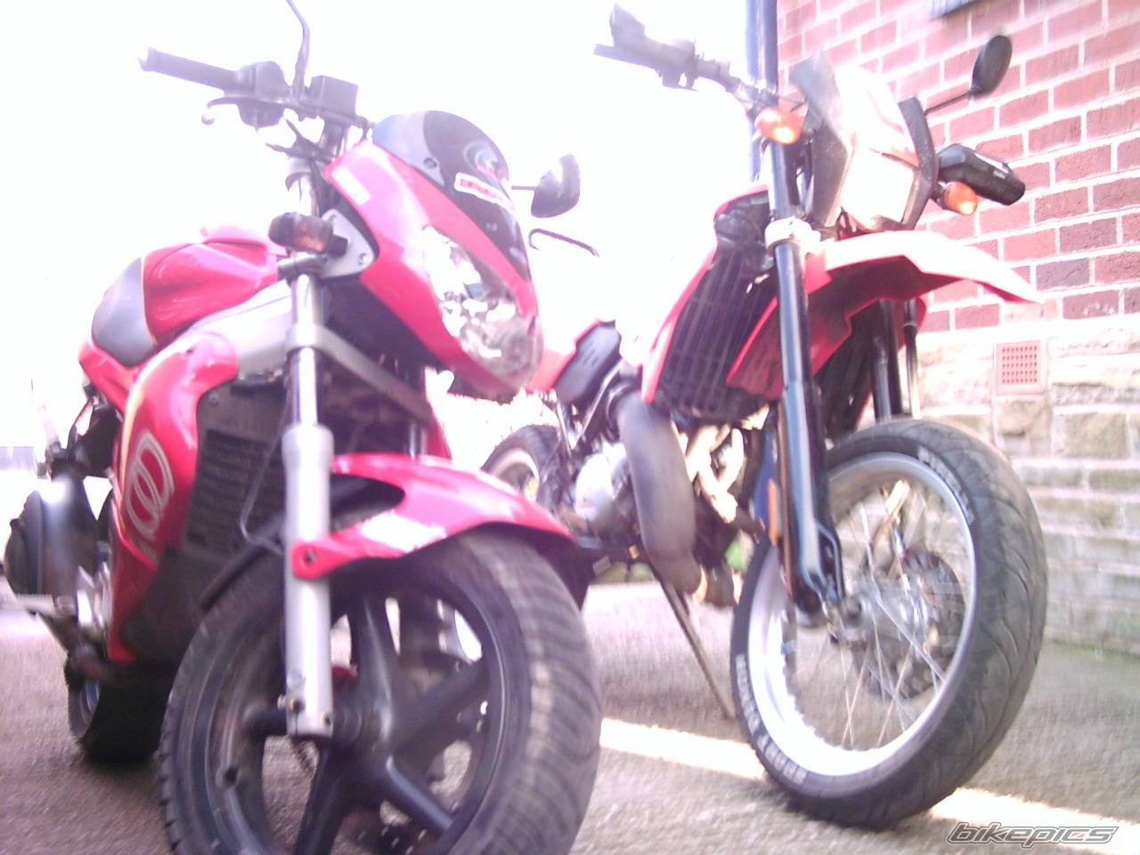 Photo 304028