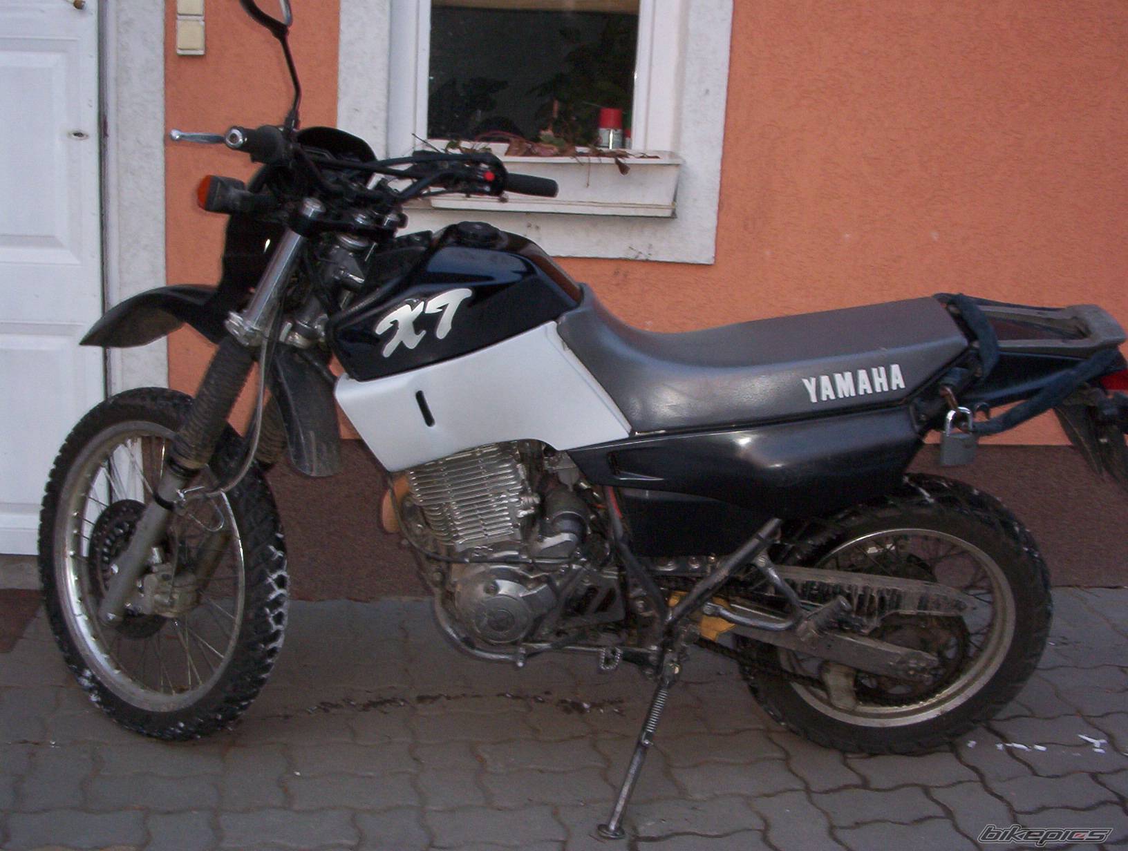 Photo 304042