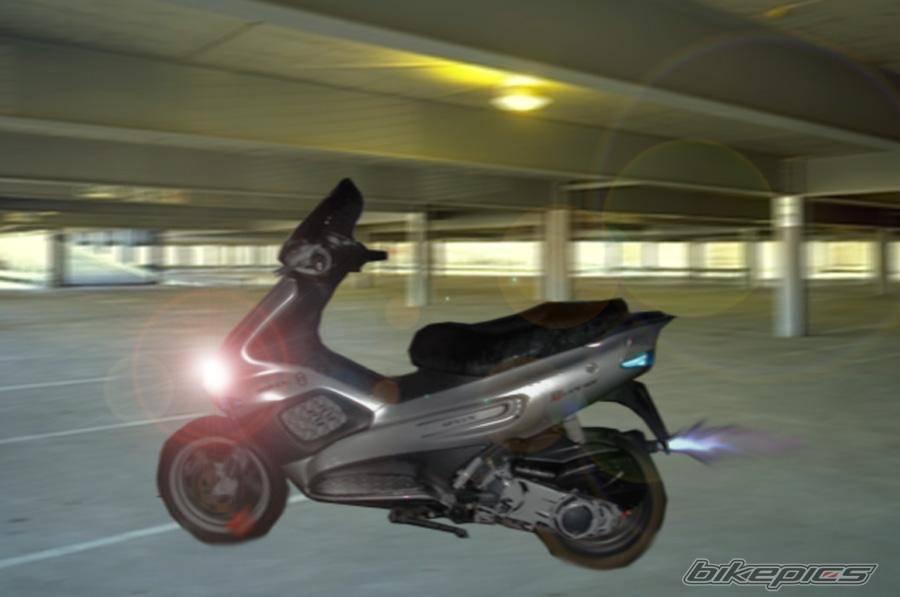 Photo 304055