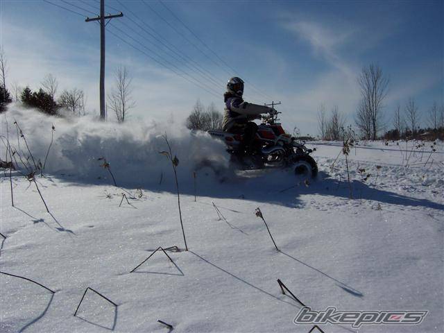 Bike Photo 304125