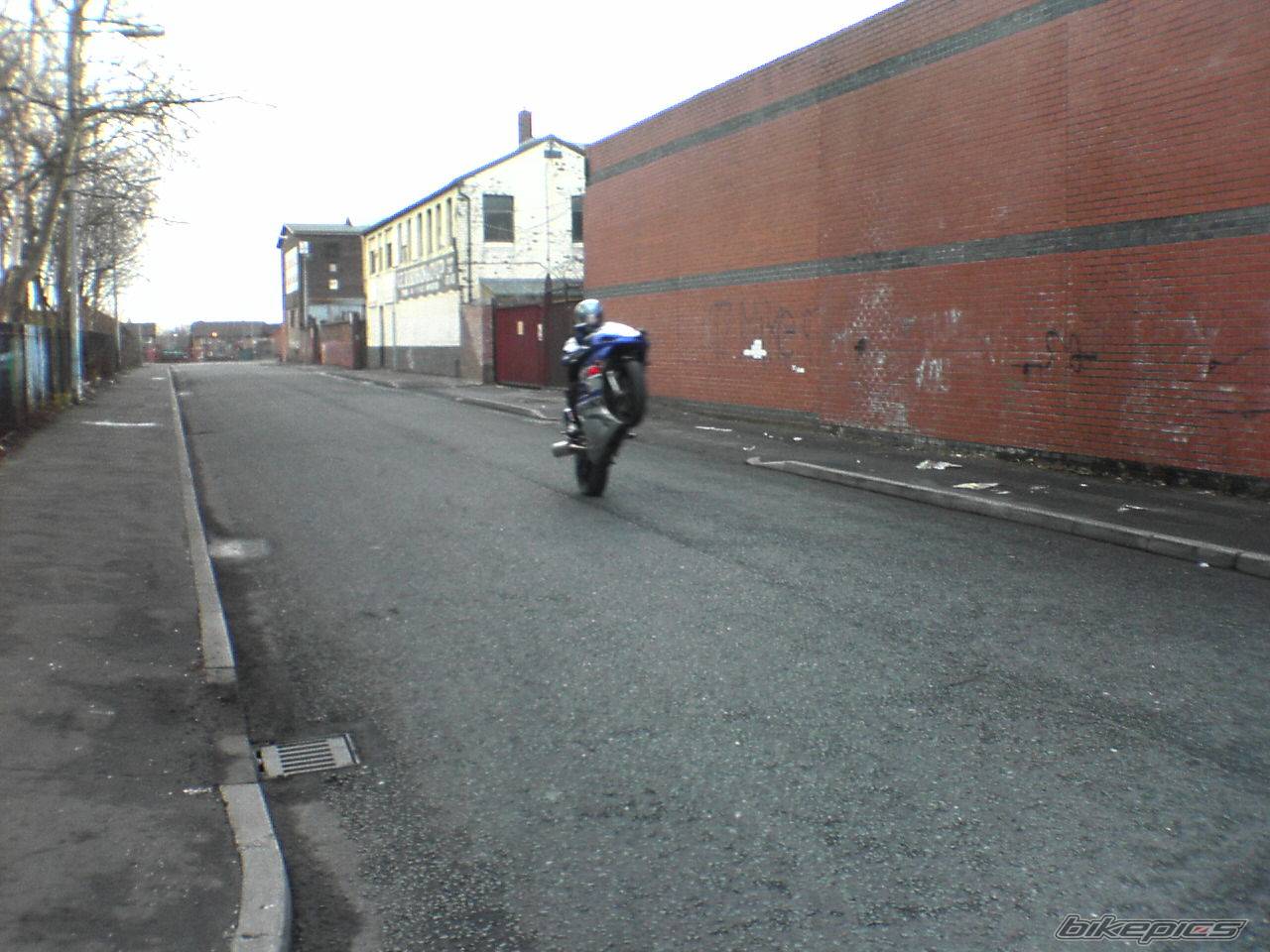 Bike Photo 304240
