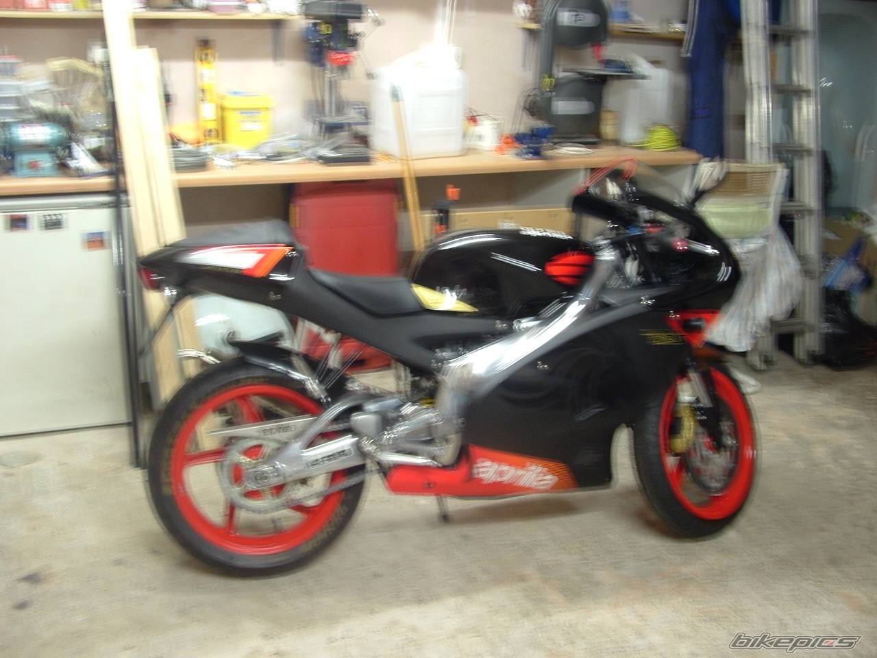 Bike Photo 304246