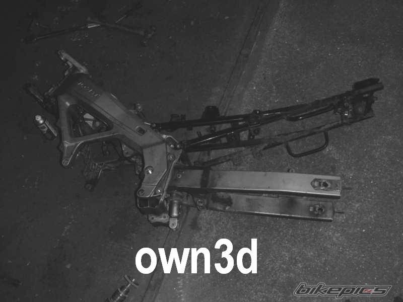 Photo 304263